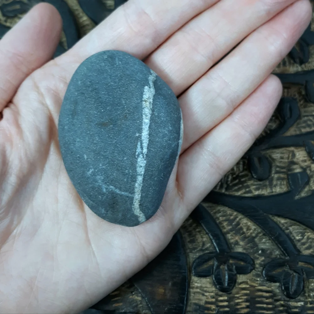 5 Banded Stones East Coast Beach Rocks Raw Rough Mineral Specimens Gray White